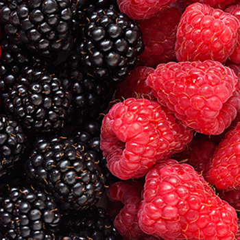 手把手教你如何選擇視頻會(huì)議USB攝像頭